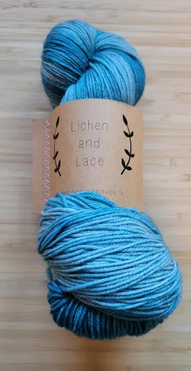 Lichen and Lace 80/20 Sock