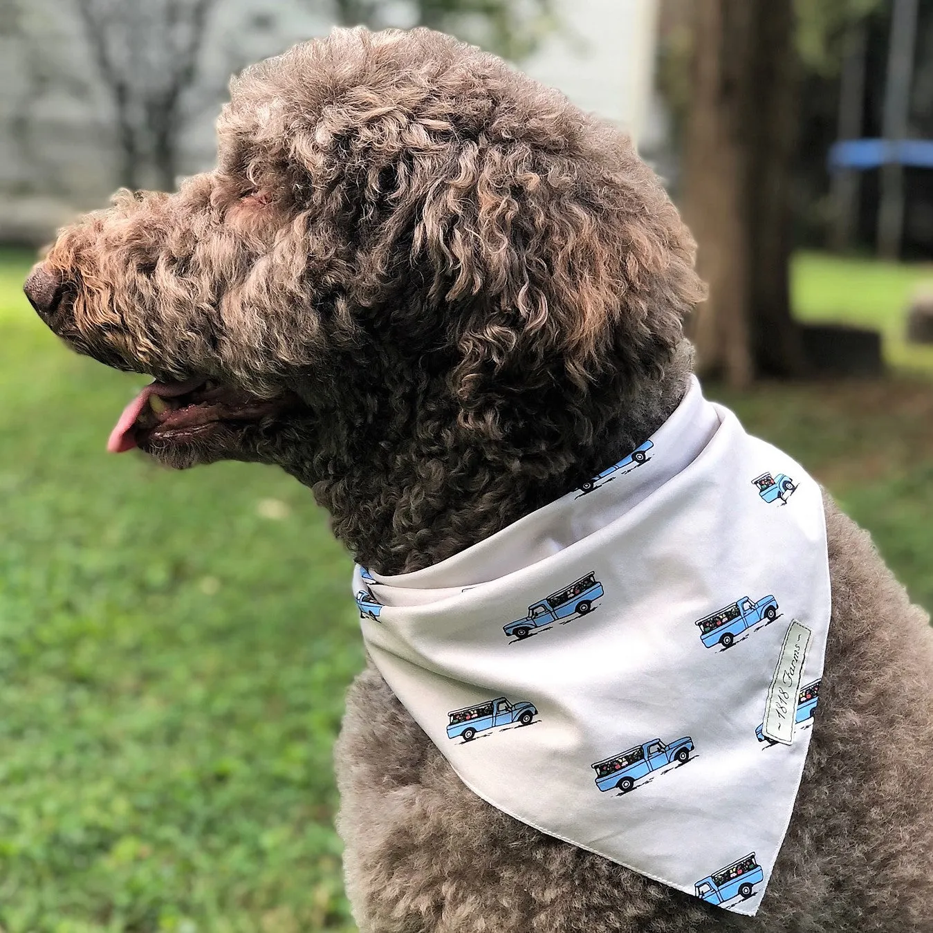 Pet Bandana