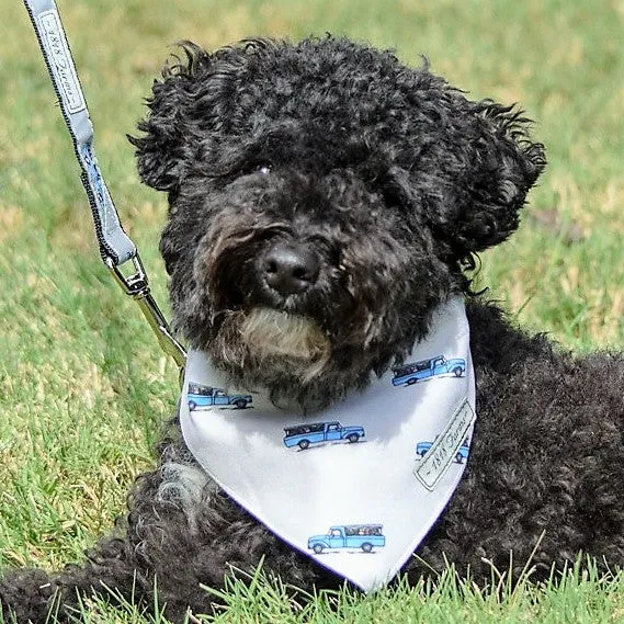 Pet Bandana