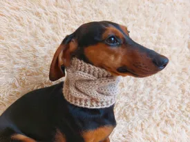 warm winter woolen snood for dog - warm snood for dog with braid on the neck - clothes for a dachshund